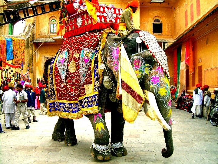 Inde circuit, globe travel voyage visites, excursions, monuments
