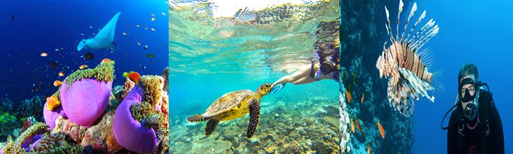 voyage maldives atoll nord hotel vols globe travel