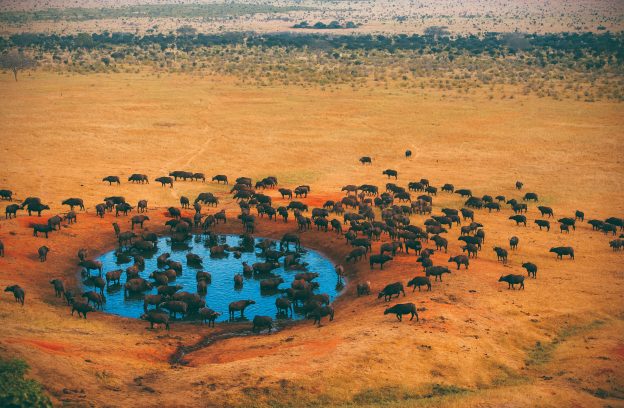 globe travel voyage tanzanie lodge safari zanzibar