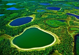 voyage brésil pantanal guide tour globe travel