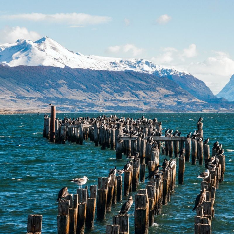 voyage-globe-travel-chili-puerto-natales voyage-globe-travel-chili-puerto-natales