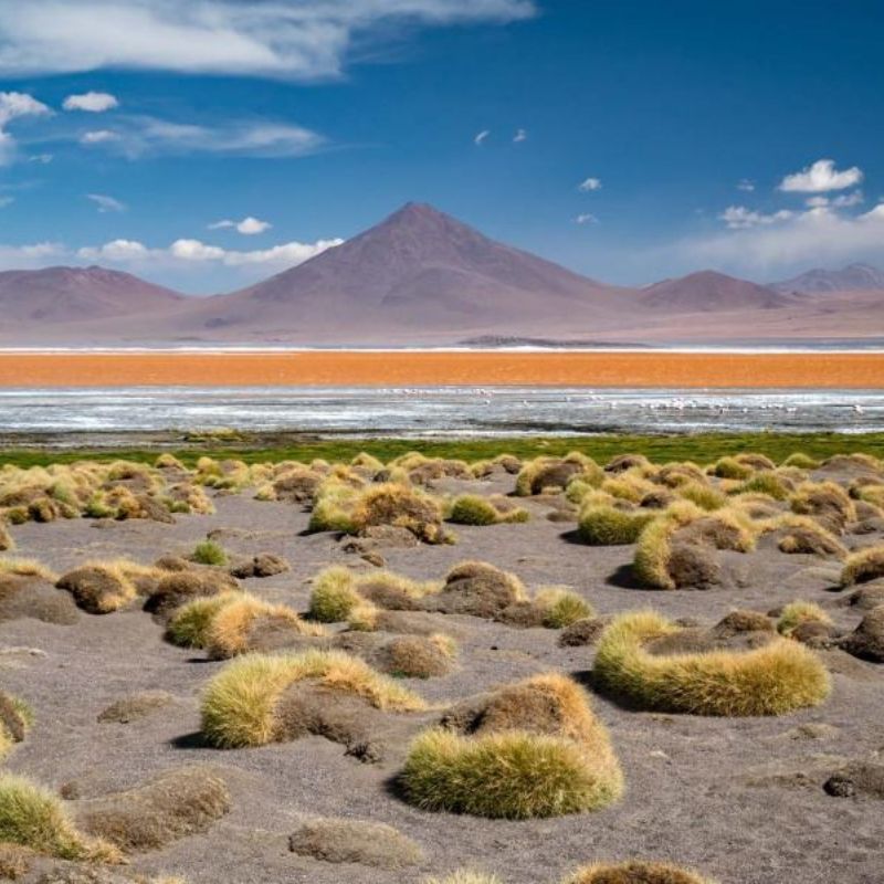 voyage-globe-travel-chili-san-pedro voyage-globe-travel-chili-san-pedro