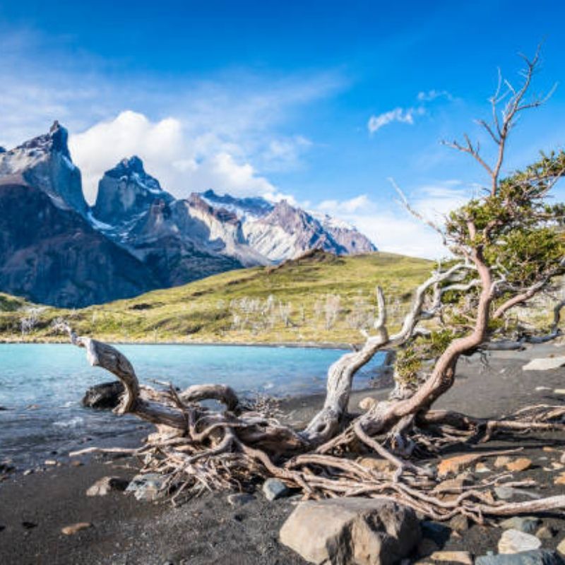 voyage-globe-travel-chili-torres-del-paine voyage-globe-travel-chili-torres-del-paine