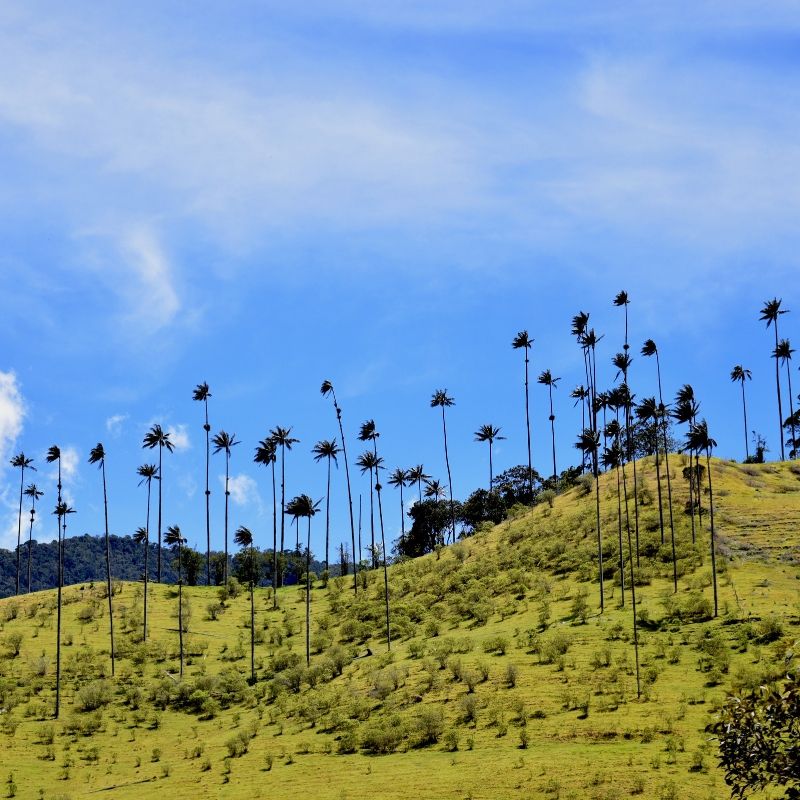 voyage-globe-travel-colombie voyage-globe-travel-colombie