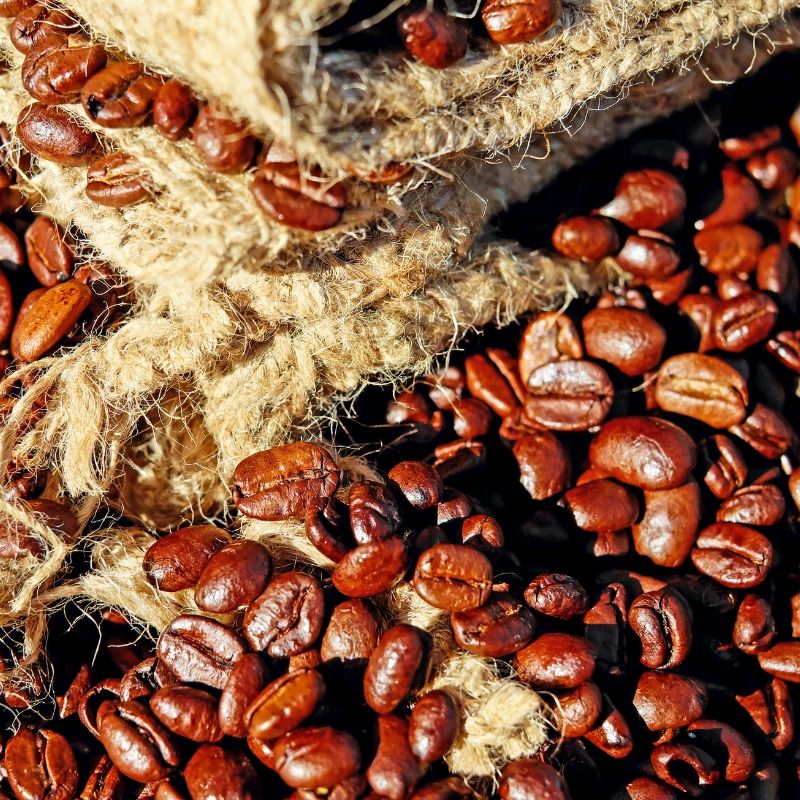 voyage-globe-travel-colombie-cafe voyage-globe-travel-colombie-cafe