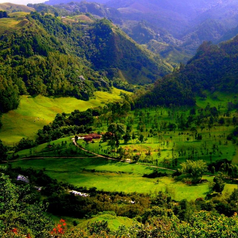 voyage-globe-travel-colombie-cafe voyage-globe-travel-colombie-cafe