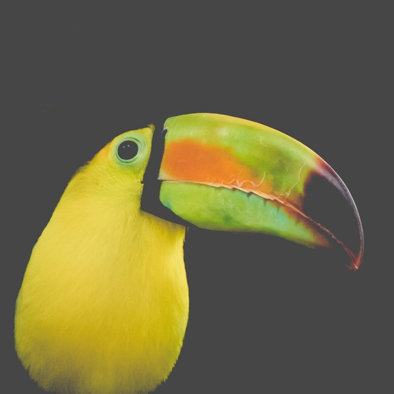 voyage-globe-travel-colombie voyage-globe-travel-colombie