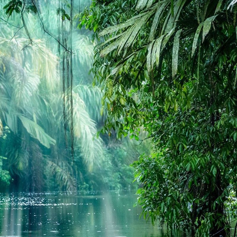 globe-travel-voyage-costa-rica-tortuguero globe-travel-voyage-costa-rica-tortuguero