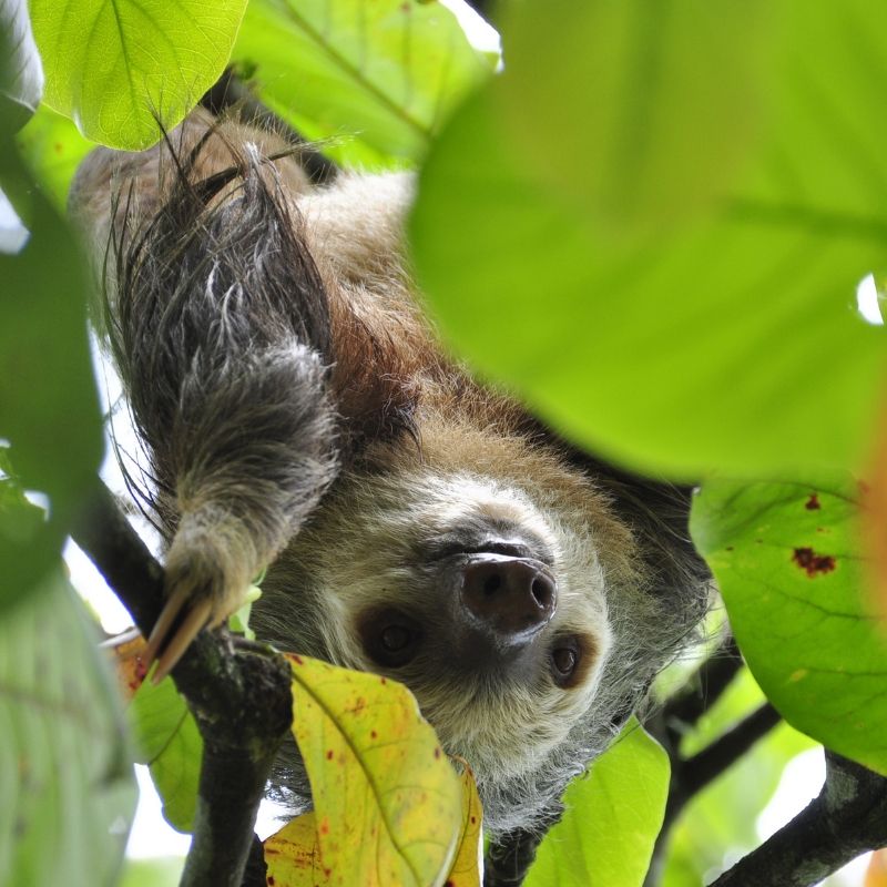 globe-travel-voyage-costa-rica globe-travel-voyage-costa-rica