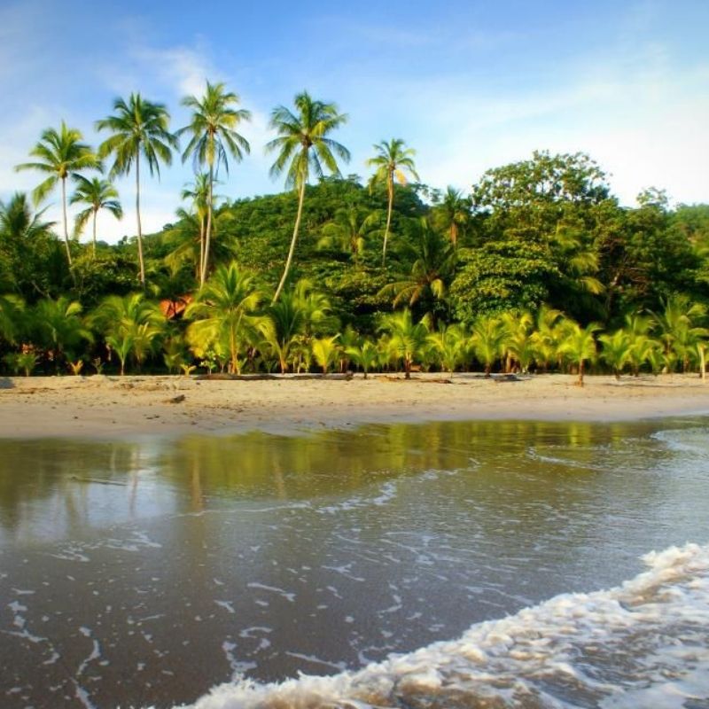 globe-travel-voyage-costa-rica-punta-leona globe-travel-voyage-costa-rica-punta-leona