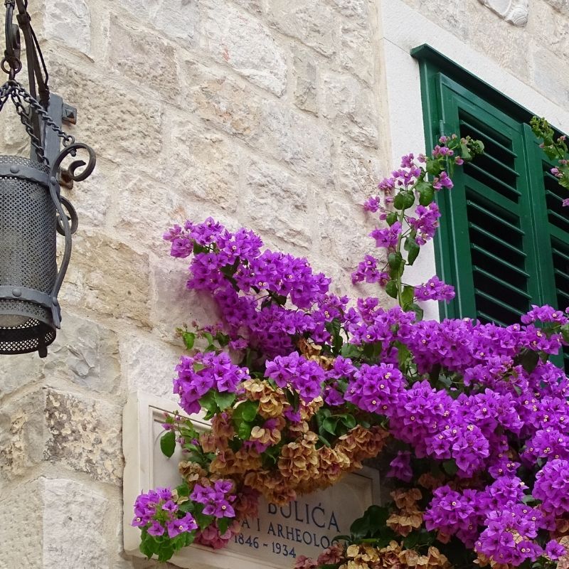 voyage-globe-travel-croatie-korcula voyage-globe-travel-croatie-korcula