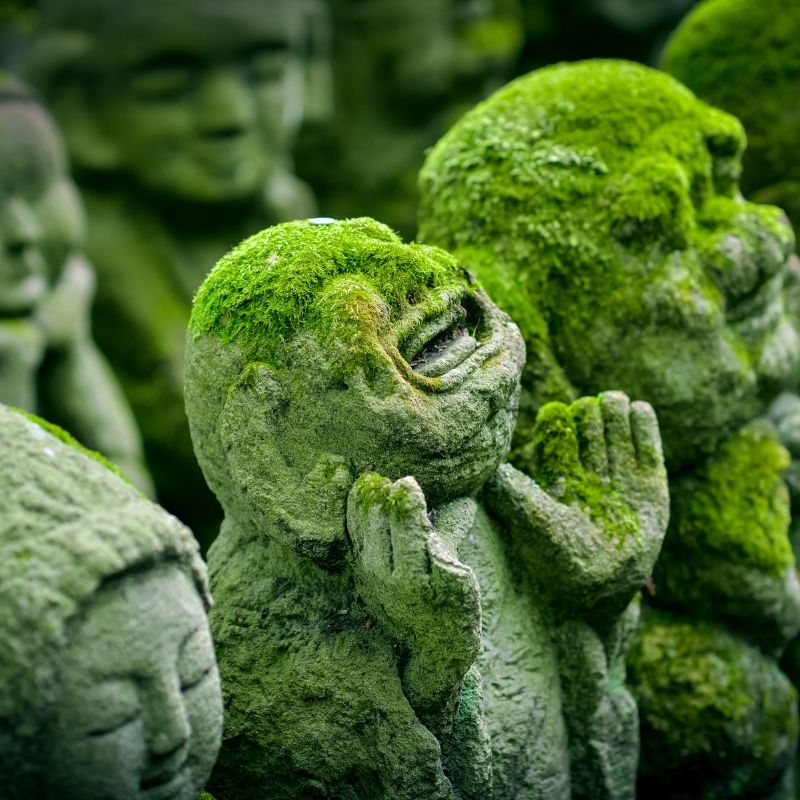 voyage-globe-travel-japon voyage-globe-travel-japon