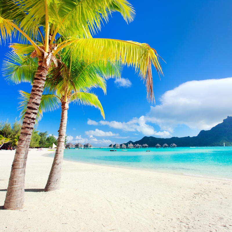 voyage-globe-travel-plage-bora-bora-detente voyage-globe-travel-plage-bora-bora-detente