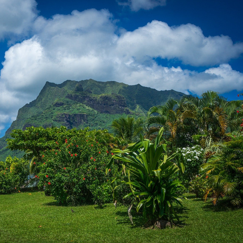voyage-globe-travel-circuit-polynesie-moorea voyage-globe-travel-circuit-polynesie-moorea