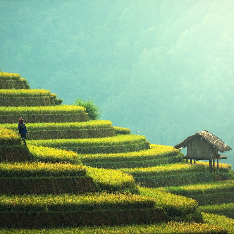 globe-travel-voyage-bali-rizieres globe-travel-voyage-bali-rizieres