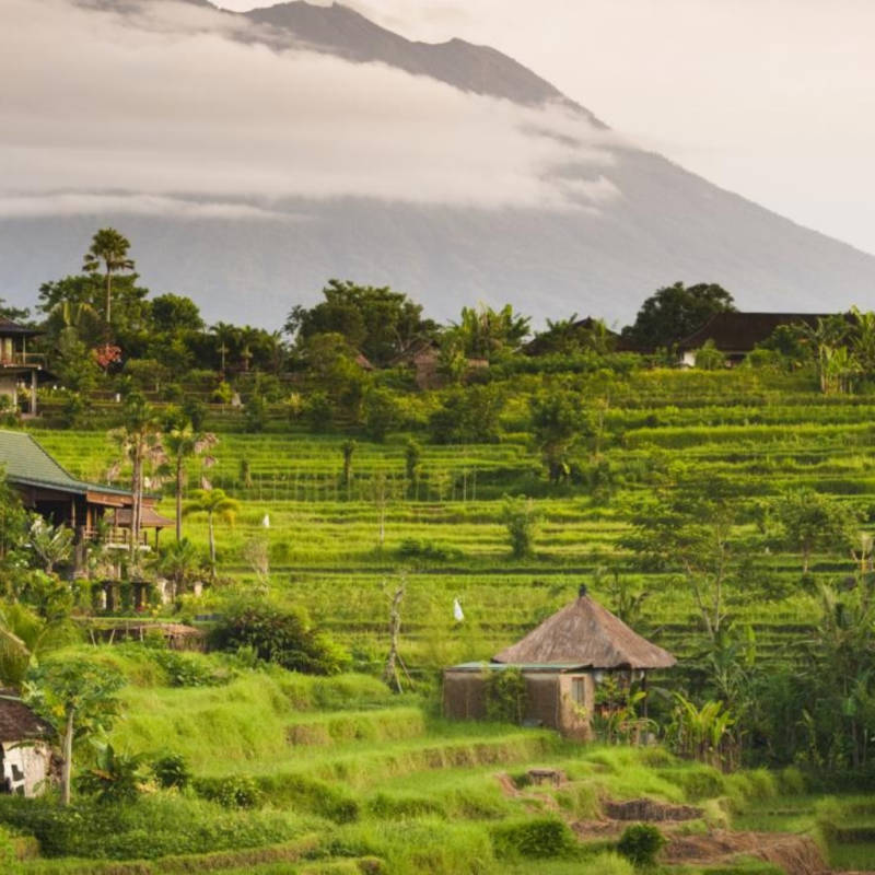 bali-indonesie-riziere-sidemen bali-indonesie-riziere-sidemen