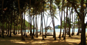 voyage-guadeloupe-hotel5