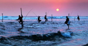 voyage au Sri Lanka