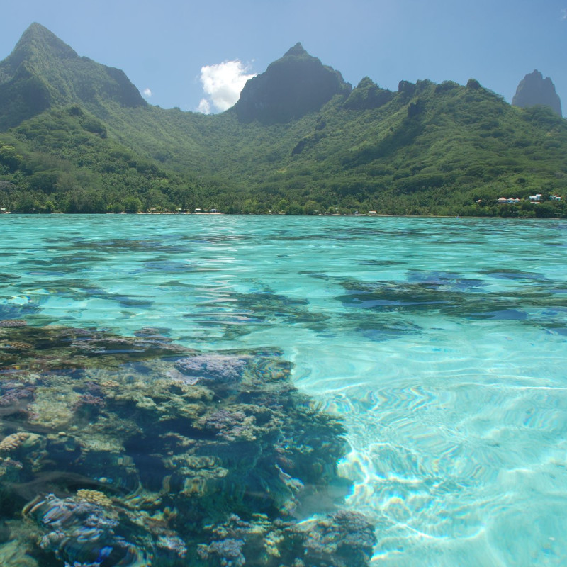 voyage-globe-travel-moorea-ile-polynesie voyage-globe-travel-moorea-ile-polynesie