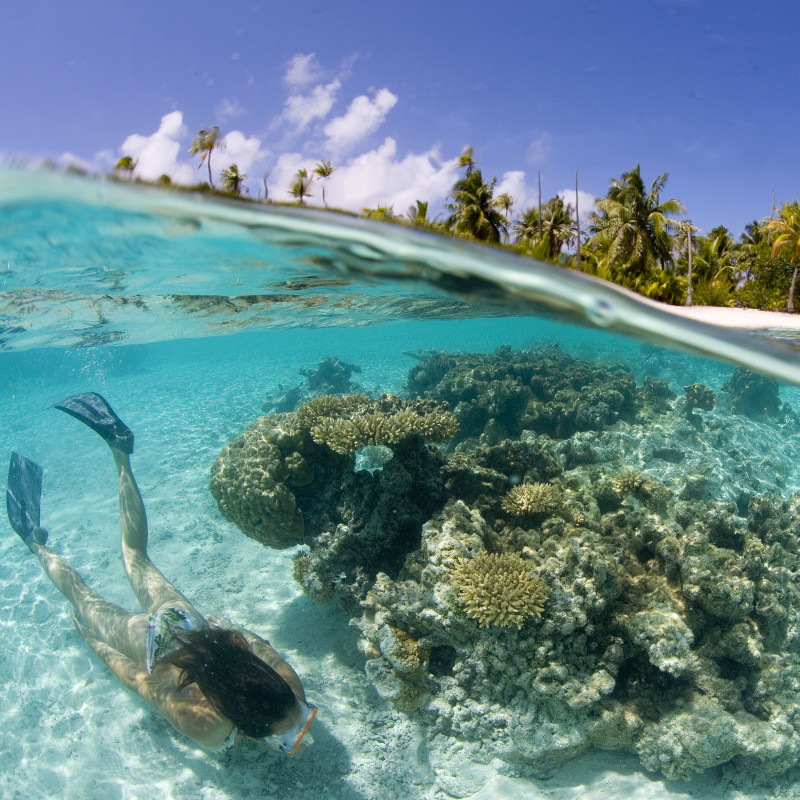 voyage-globe-travel-faune-flore-polynesie voyage-globe-travel-faune-flore-polynesie