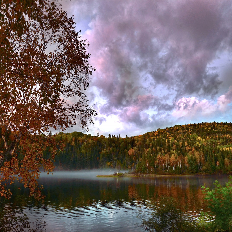 voyage-globe-travel-canada-foret voyage-globe-travel-canada-foret