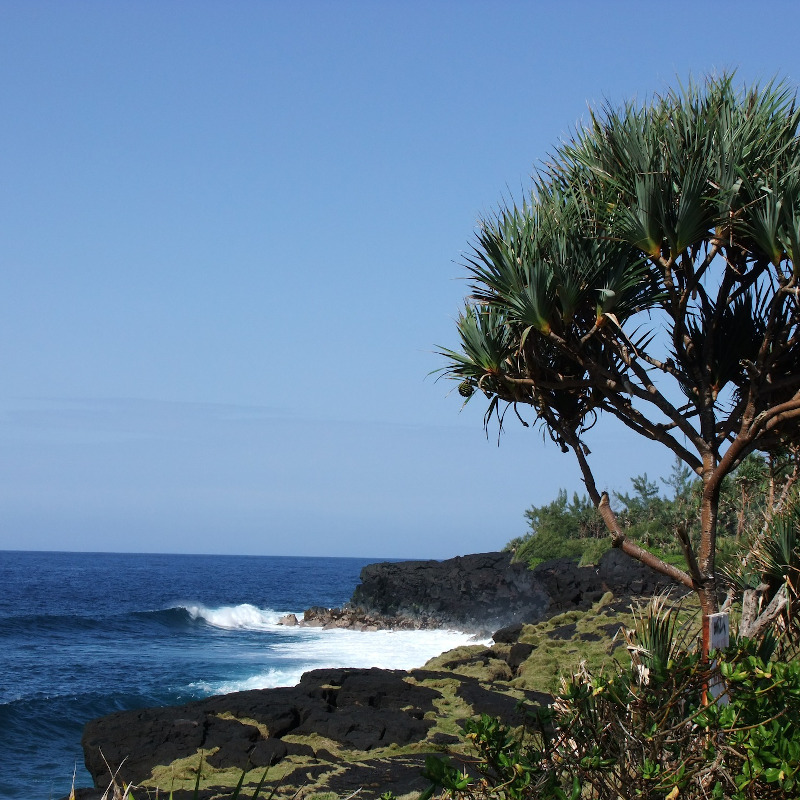 anse-cascades-reunion anse-cascades-reunion
