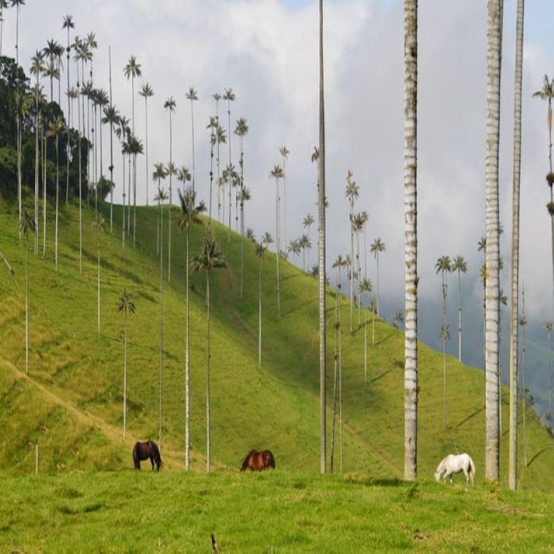 voyage-globe-travel-colombie