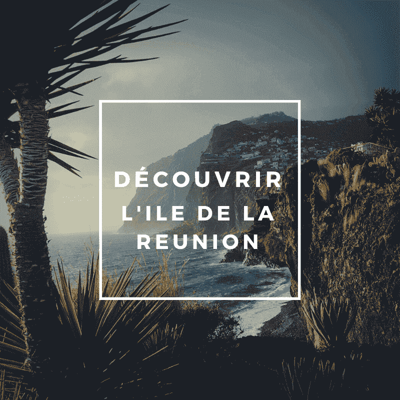 voyage-globe-travel-presentation-reunion