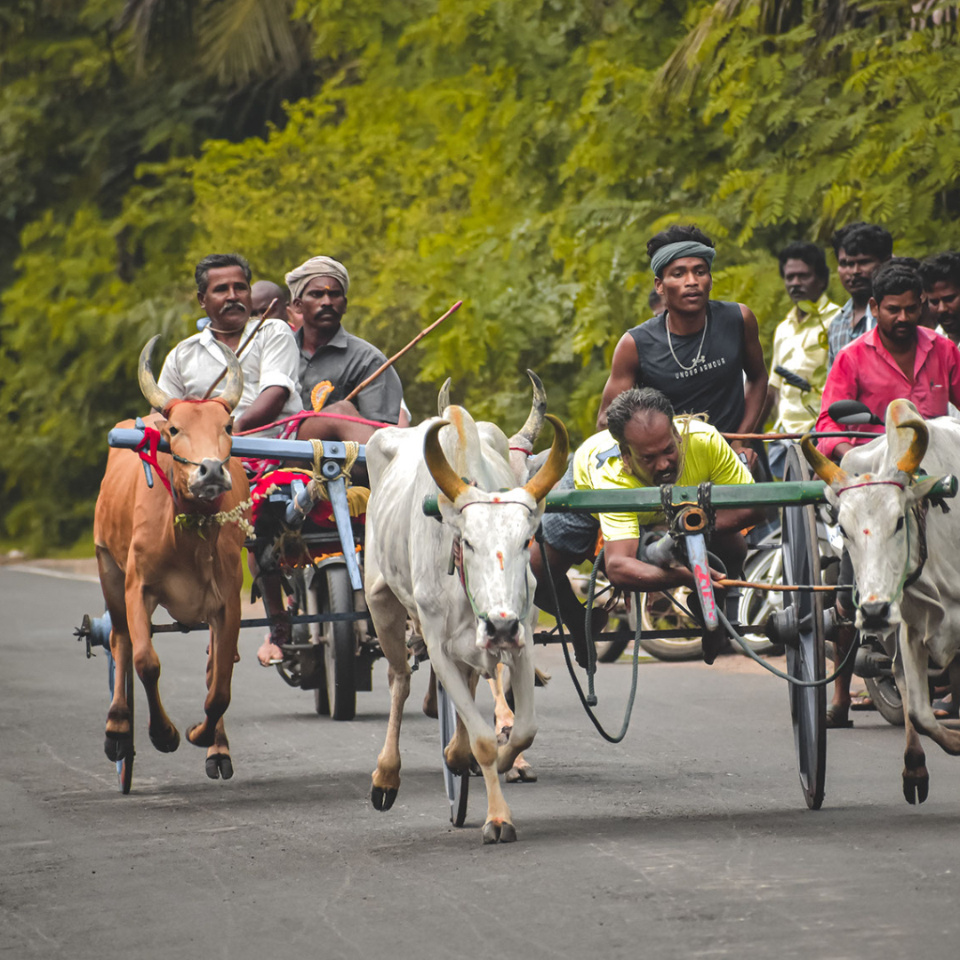 sri-lanka