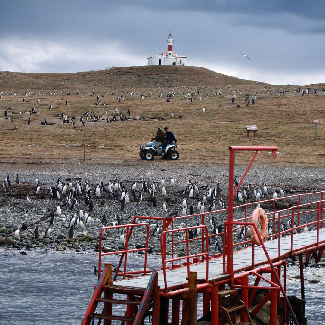 voyage-globe-travel-chili-puerto-natales