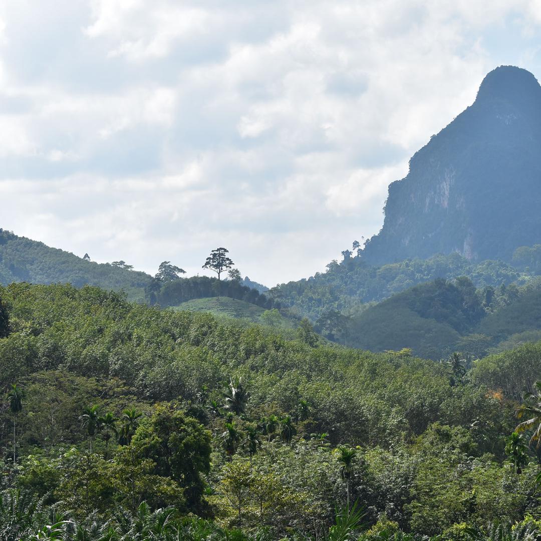 voyage-globe-travel-thailande