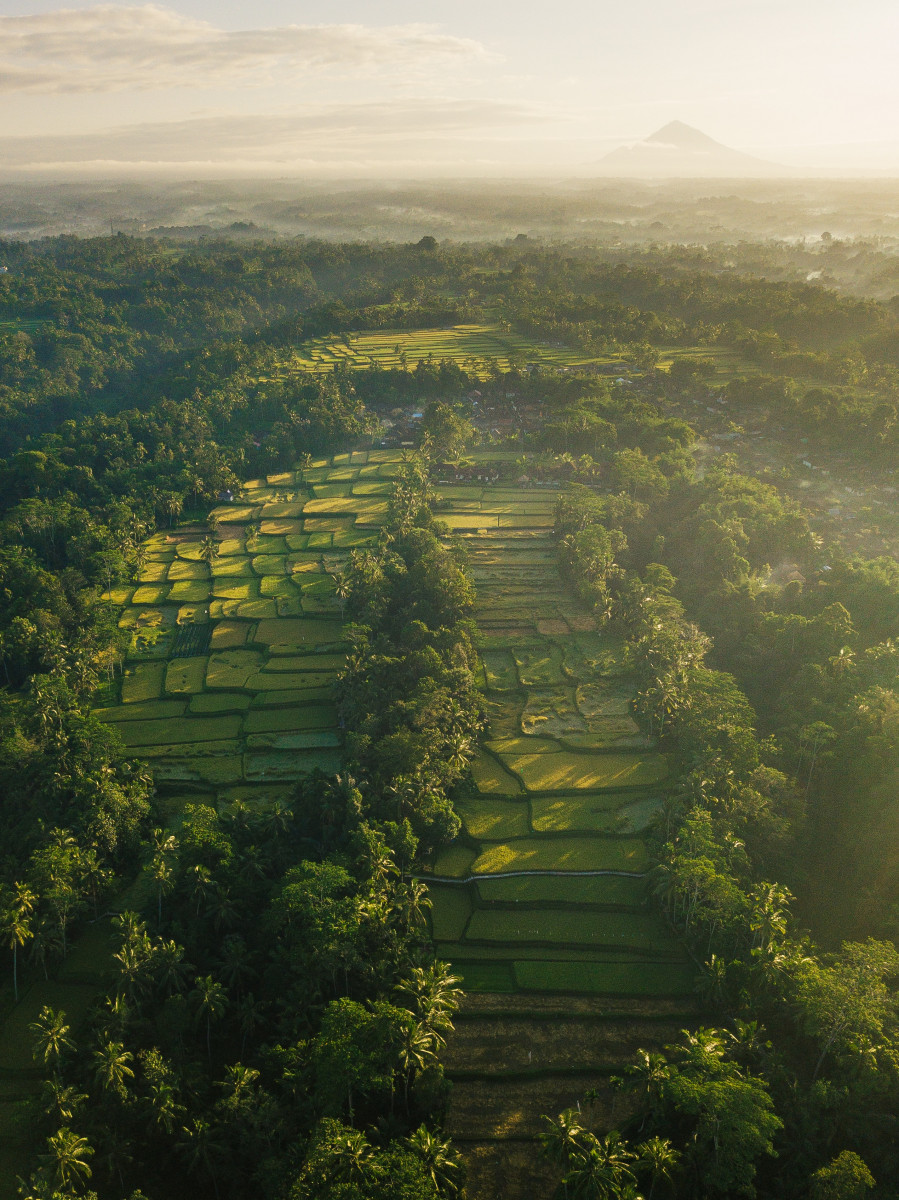 ubud-bali