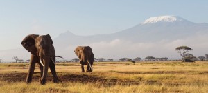 1-kenya-hero